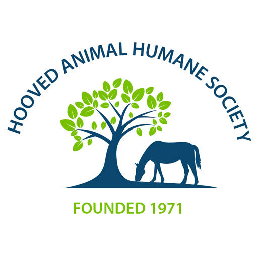 Hooved animal humane society blue cross blue shield highmark vision