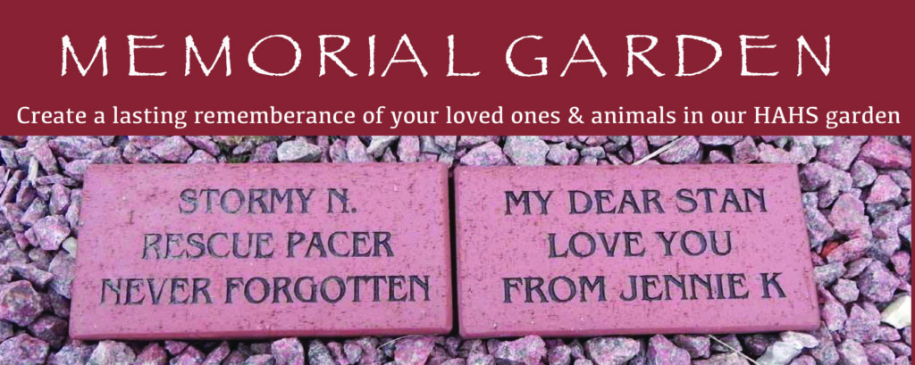 memorial_garden_bricks_help_protect_horses_and_hooved_animals_as_wll_as_honor_a_friend_family_member_or_beloved_pet