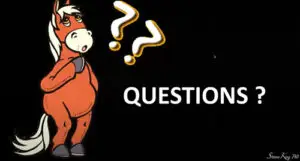 horse_question-graphic