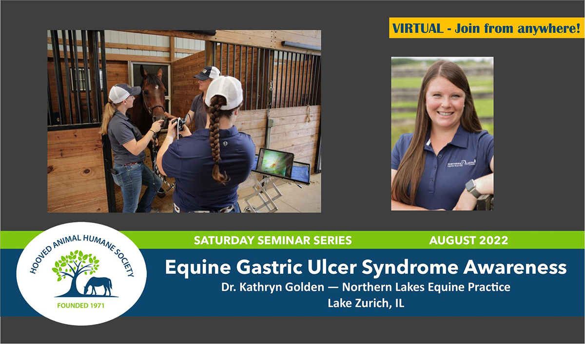 equine_gastric_ulcers_dr_kathryn_goldned_northern_lakes_quine_practiice_saturday_seminar_series