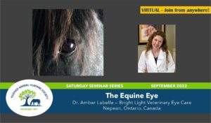 equine_eye_seminar_dr_amber_labelle