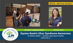 equine_gastric_ulcer_syndrome_dr_kathryn_golden