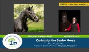 caring_for_senior_horses_dr_lisa_nesson_irongate_equine_clinic