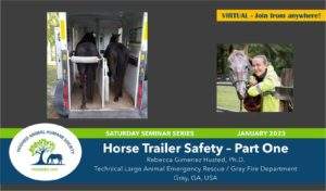 horse trailer safety webinar by Dr. Rebecca Gimenez Husted