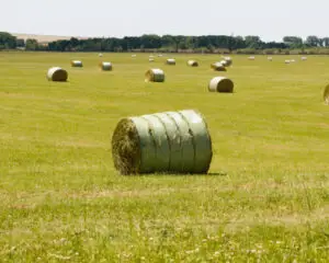 hay_bales