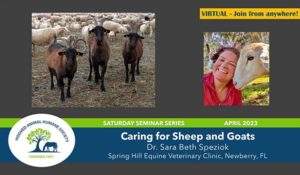 webinar_on_how_to_keep_sheep_and_goats_healthy_dr_sarah_beth_speziok_spring_hill_equine_veterinary_clinic