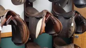 saddles