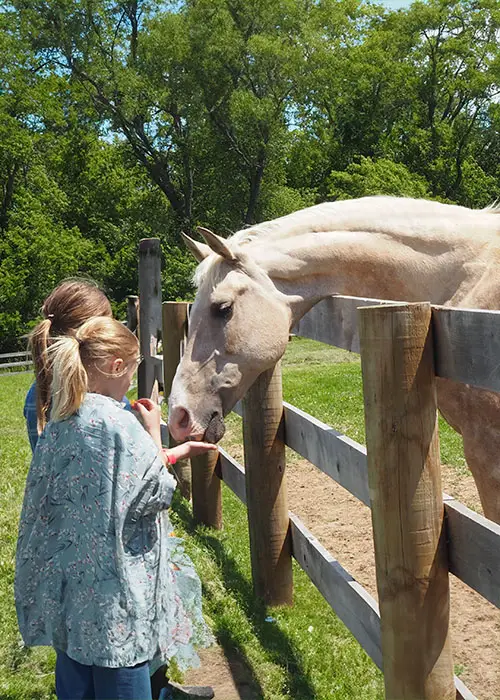 kids_and_horse