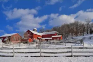 winter-barn-preparation